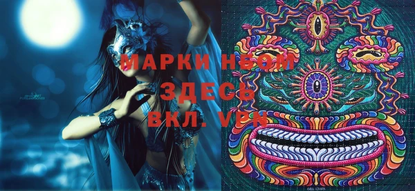 амф Няндома