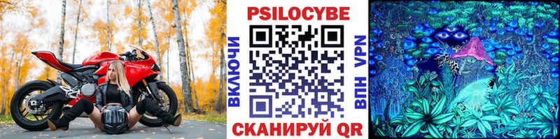 Псилоцибиновые грибы Psilocybe  Серафимович 